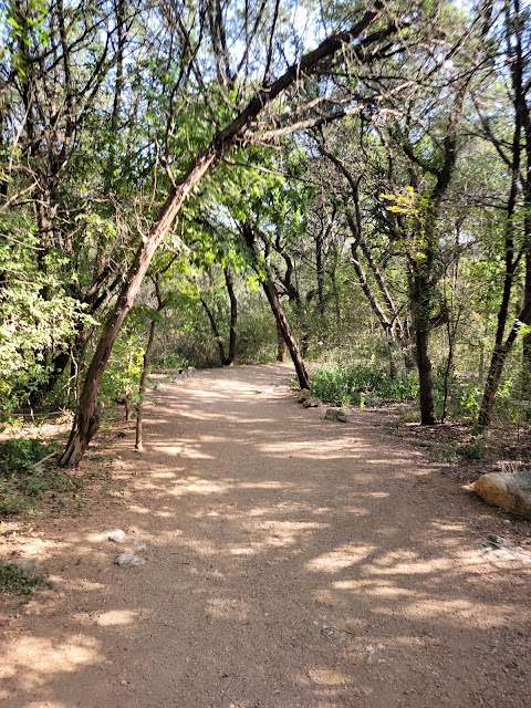 Photo of Barton Creek 360 Trail Access in Barton Hills