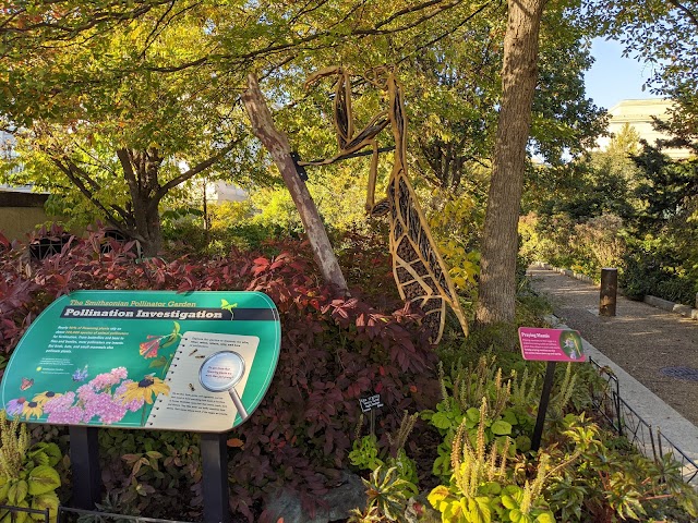 Photo of Smithsonian Pollinator Garden in Northwest Washington