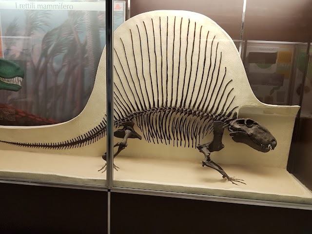 Photo of Milan Natural History Museum