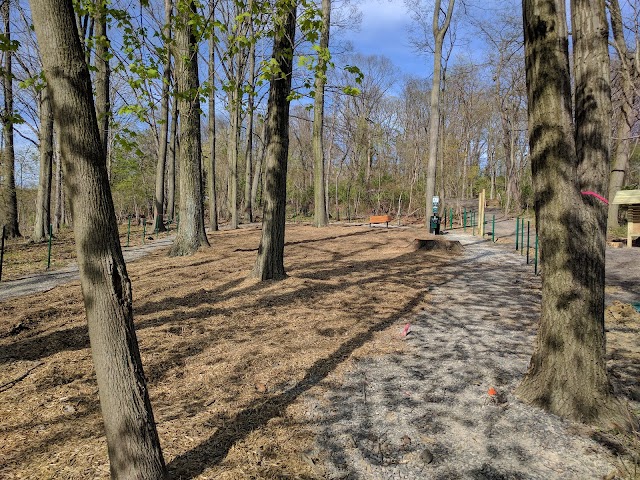 Photo of Forest Hills Park
