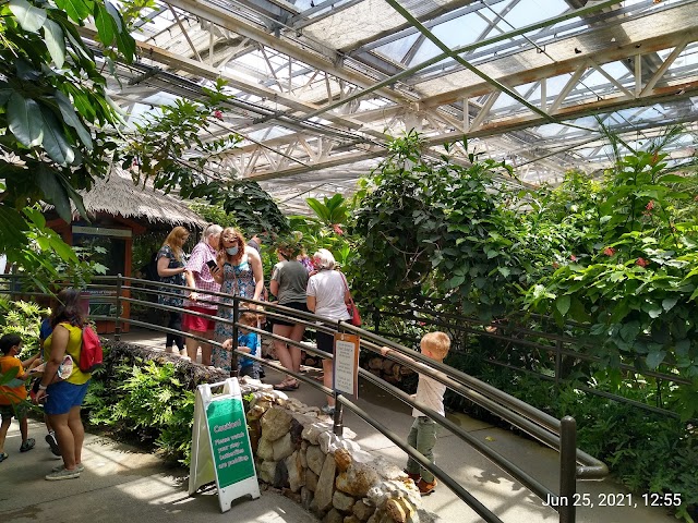Photo of Butterfly Pavilion in North Central Westminster