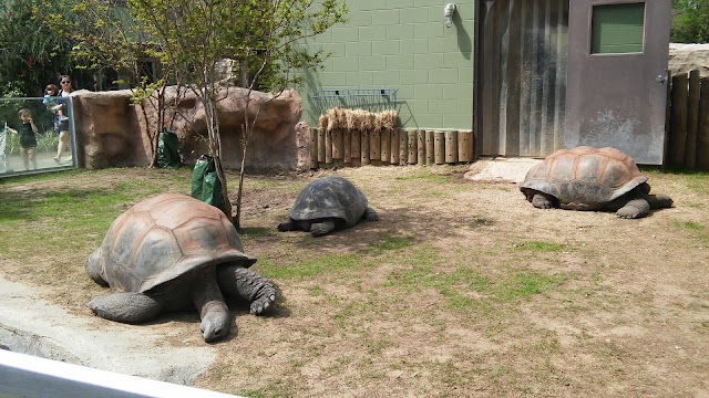 Photo of San Antonio Zoo in Alamo Heights