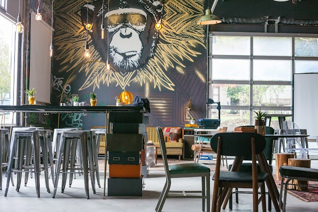 Photo of The Infinite Monkey Theorem in Govalle
