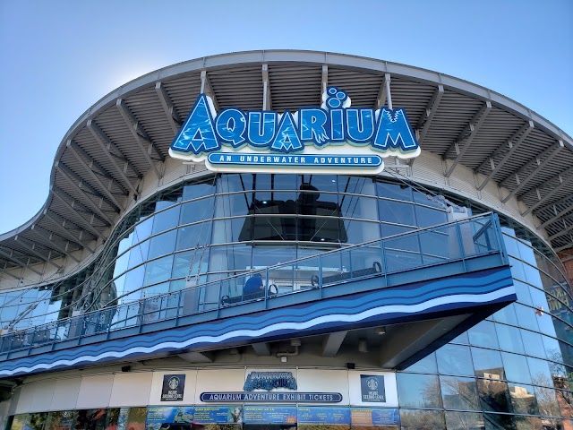 Photo of Downtown Aquarium in Jefferson Park