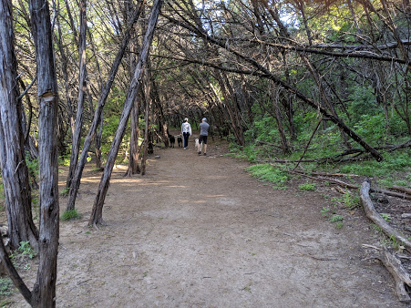 Photo of Turkey Creek Trail