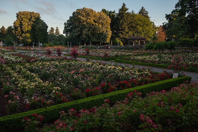 Photo of Peninsula Park and Rose Gardens in North Portland