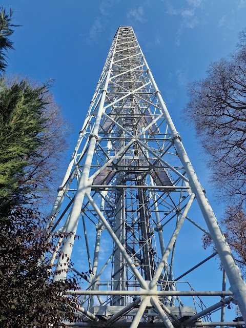 Photo of Torre Branca