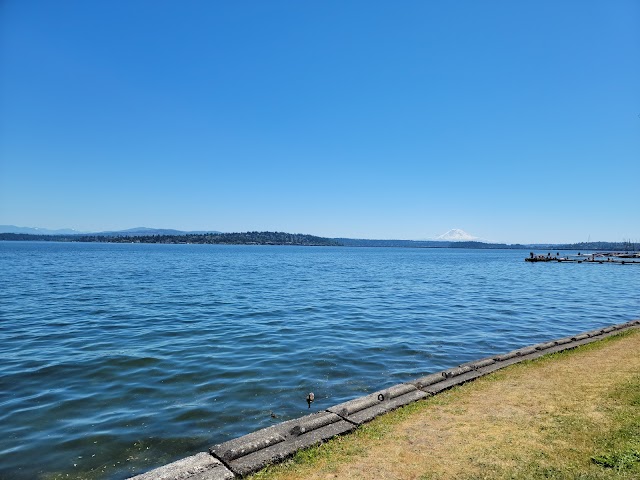 Photo of Madrona Beach in Central District