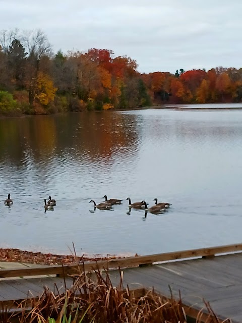 Photo of Mill Creek Metroparks Lake Newport