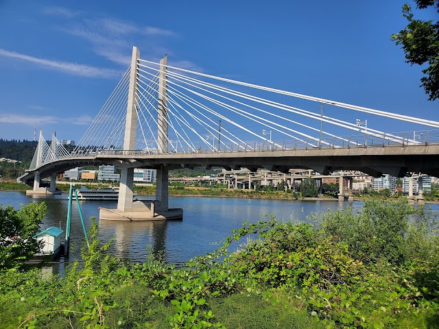 Photo of Tilikum Crossing Bridge in Southwest Portland