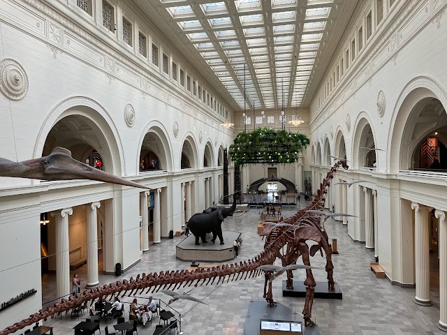 Photo of The Field Museum in Near South Side