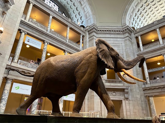 Photo of Smithsonian National Museum of Natural History in Northwest Washington