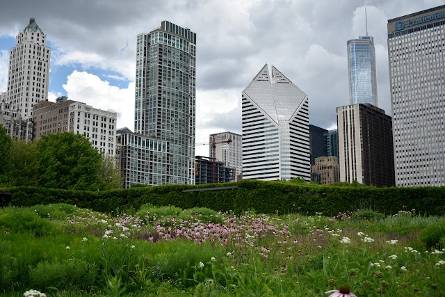 Photo of Lurie Garden in Chicago Loop