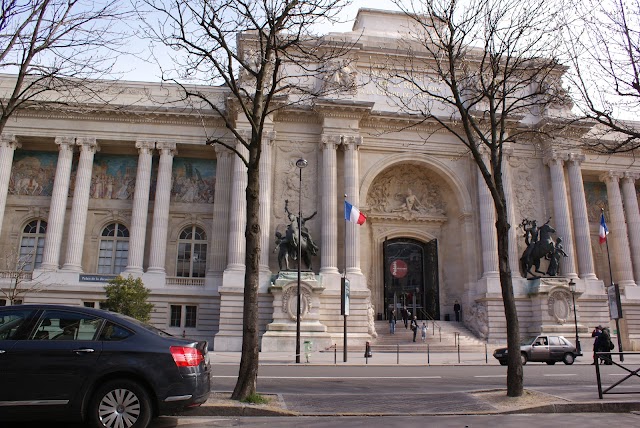 Photo of Palais de la Decouverte station